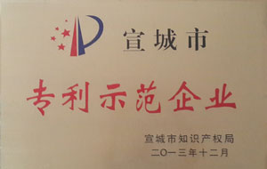 專利示范企業(yè)